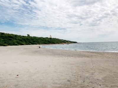 Los Mejores Chiringuitos en Sancti Petri: Disfruta del Sabor y Ambiente Único en la Costa de Cádiz